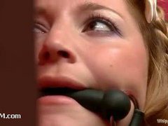 A sexy doll delivered for Maitresse Madeline kinky fun