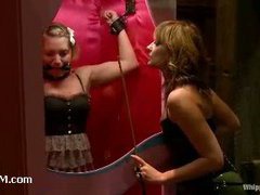 A sexy doll delivered for Maitresse Madeline kinky fun