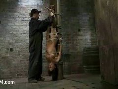 A fabulous babe tied upside down and flogged hard