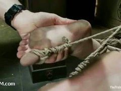 A sexy slave trainee triple penetrated in sophisticated bondage
