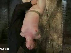 A redheaded pain slut suspended by ankles and face fucked