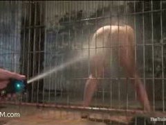 this slave learns how to fuck RIGHT