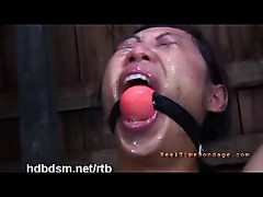 A restrained slut ordered to eat from the floor