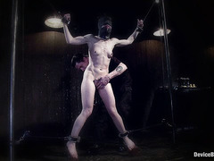 Elise Graves in an extreme bondage scene featuring lots of clothespins
