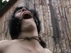 Bound brunette endures whipping, caning and even bursts of fire
