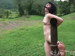 Bound brunette endures whipping, caning and even bursts of fire