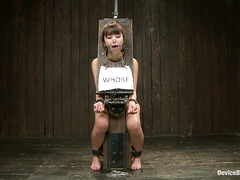 Japanese sex starlet Marica Hase is dominated by Claire Adams